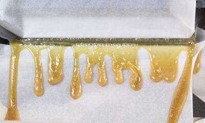 5 Reasons Why Solventless Concentrate is Essential in Your Life