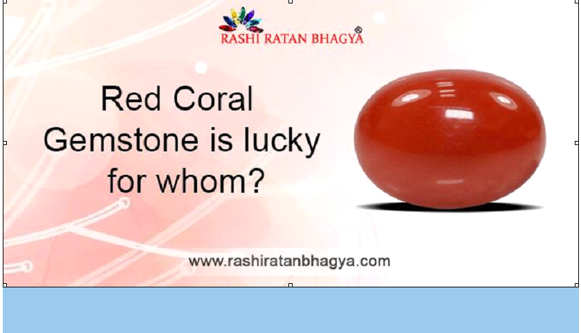 Red Coral Gemstone