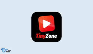 Unleashing the Power of TinyZone: Your Ultimate Entertainment Hub