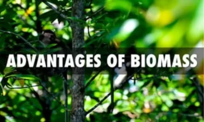 From Waste to Wonder: Harnessing the Advantages of Biomass Energy