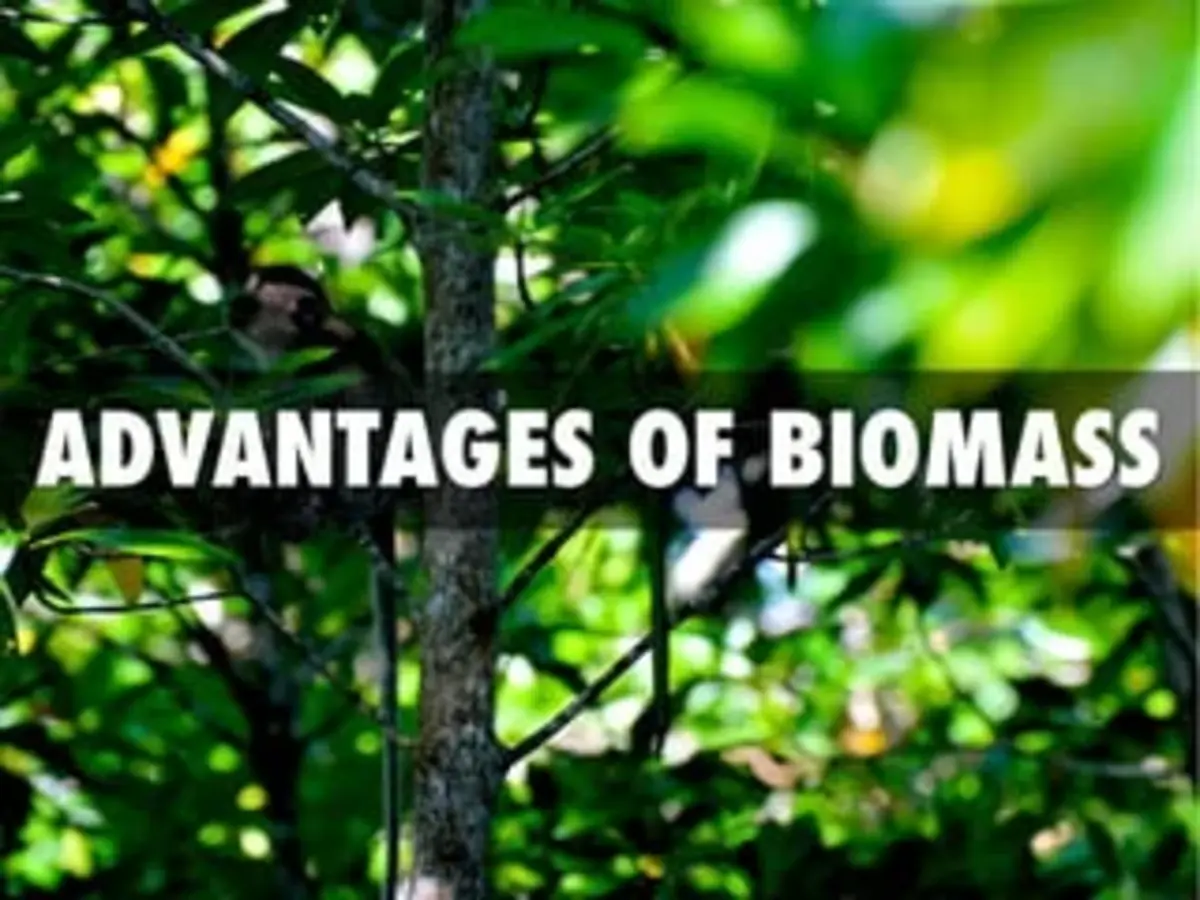 From Waste to Wonder: Harnessing the Advantages of Biomass Energy