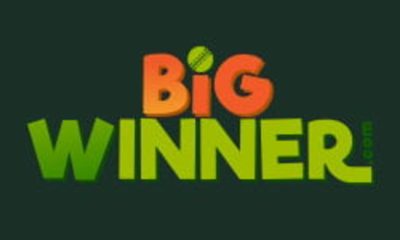 What is Big Winner Pro? How does it work